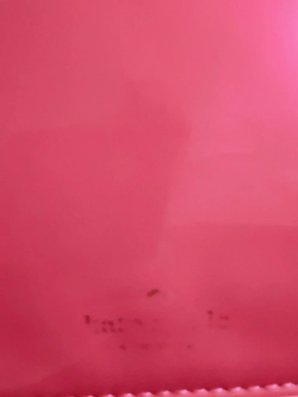 Kate Spade Lot